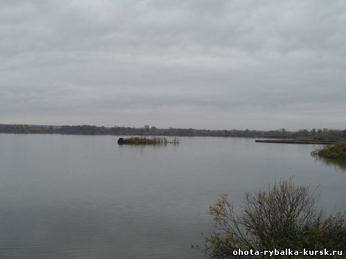 Рыбалка курск брежнево